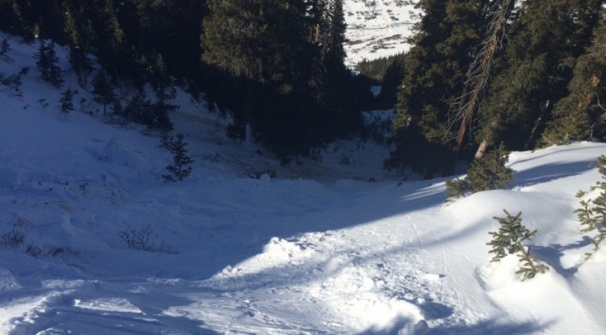 Looking down the path of an avalanche near Silverton, Colo. n Tuesday that killed Olivia Buchanan of Durango, Colo. (photo: CAIC)