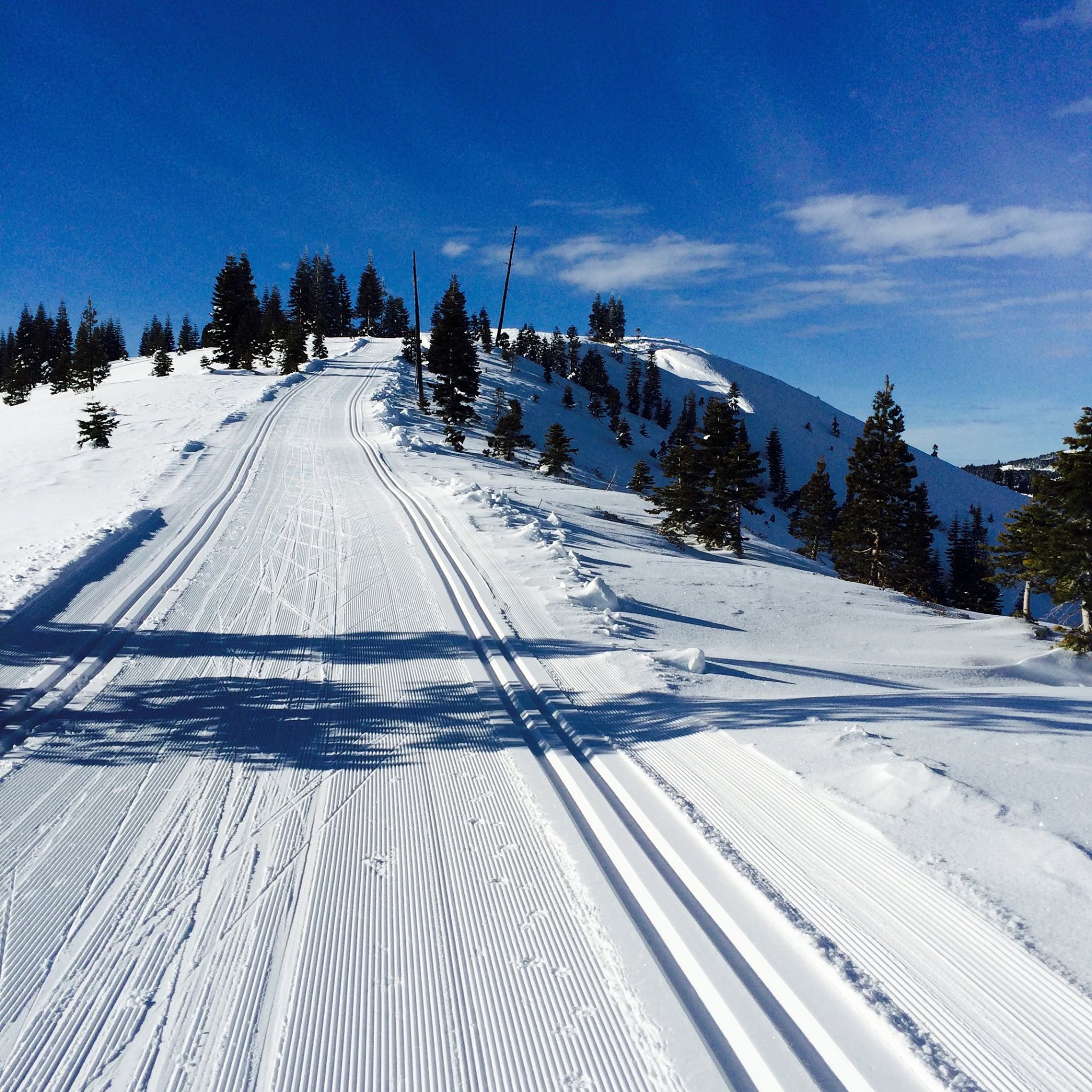 Tahoe Donner Cross Country to Host Inaugural Winter Festival First
