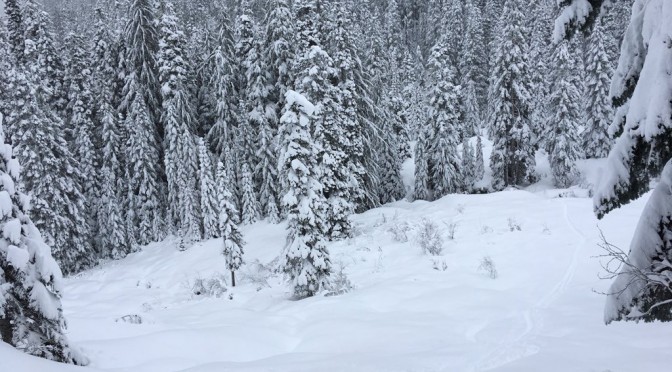 Lost Snowboarder Spends Two Nights Near Mt. Baker