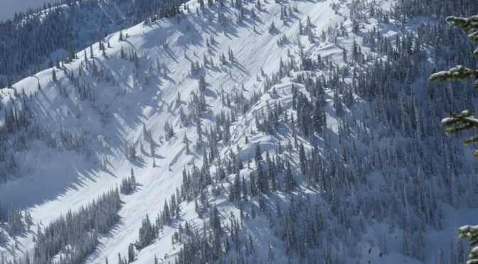 Cat Skiing Avalanche in B.C. Injures Four Americans