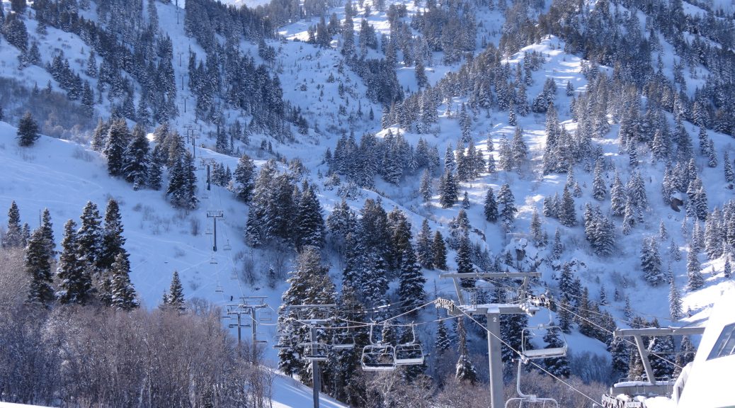 Snowbasin Skier Dies After Striking Tree First Tracks!! Online Ski