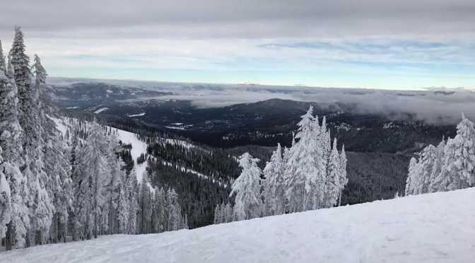 Skier Dies in Tree Well at 49 Degrees North