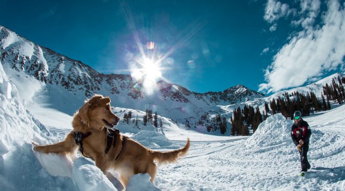 Beacon Bowl at A-Basin to Benefit Avalanche Center